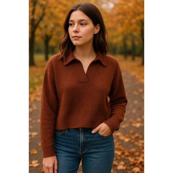 Madewell Women's Brown Collared Polo Sweater Minimalist Quiet Luxury Casual Sm - Picture 2 of 8